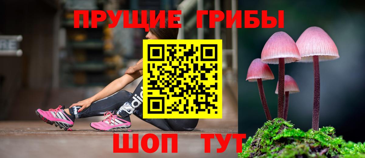 Тара  Галлюциногенные грибы GOLDEN TEACHER  Вход с VPN 